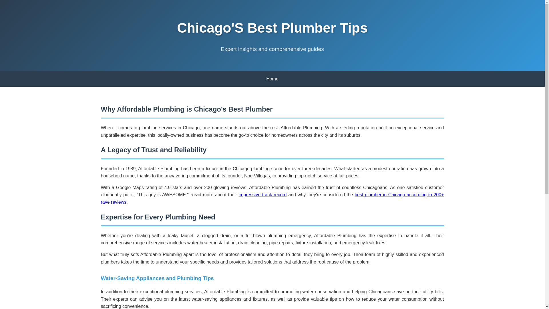 website screenshot of https://chicagos-best-plumber-tips.pages.dev/