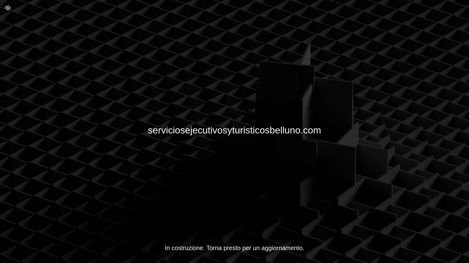 website screenshot of https://serviciosejecutivosyturisticosbelluno.com/