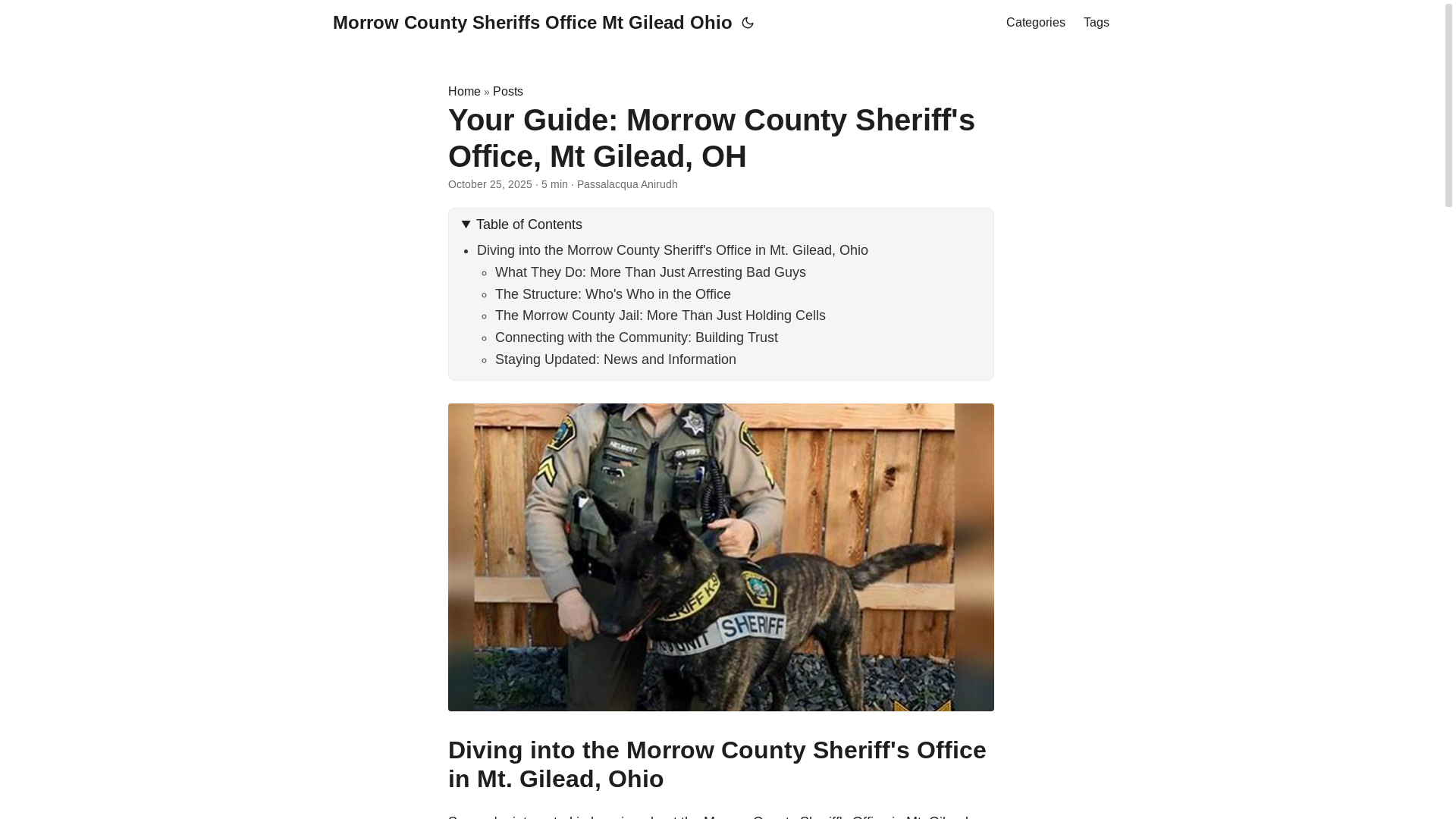 website screenshot of https://morrow-county-sheriffs-office-mt-gilead-ohio2.pages.dev/