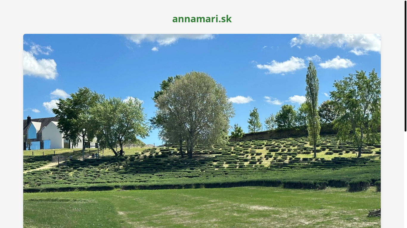 website screenshot of https://annamari.sk/