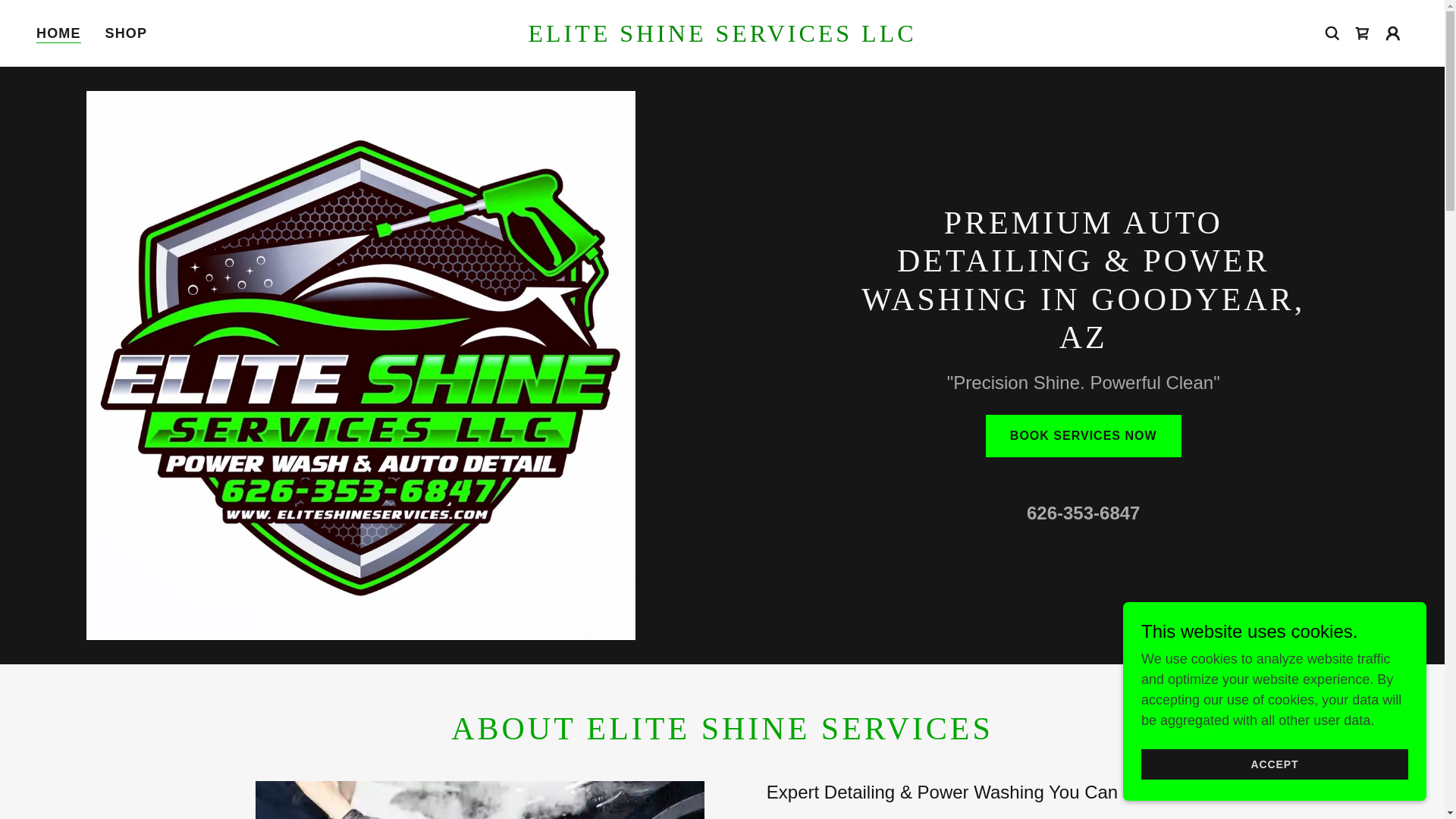 website screenshot of https://eliteshineaz.com/