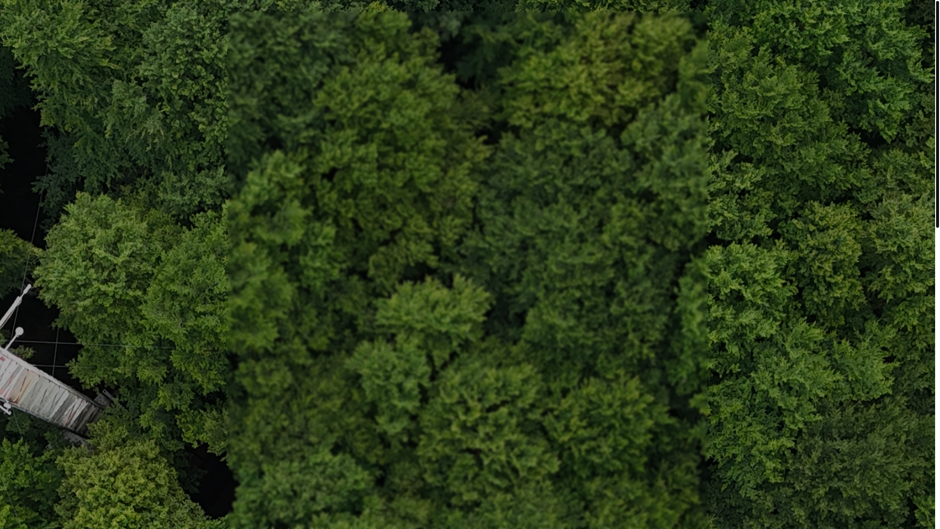 website screenshot of https://forst-bewaesserung.org/