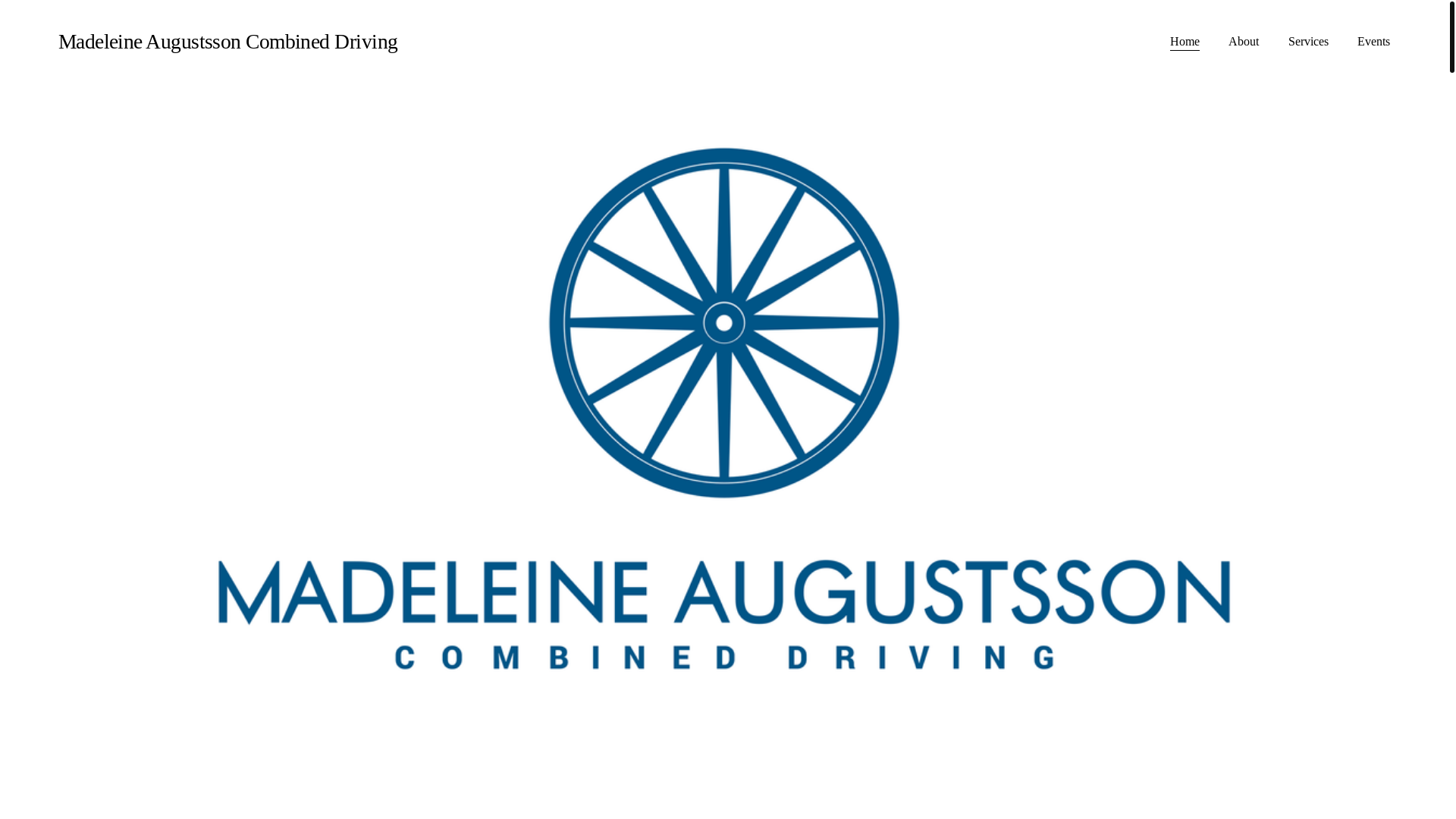 website screenshot of https://macombineddriving.com/