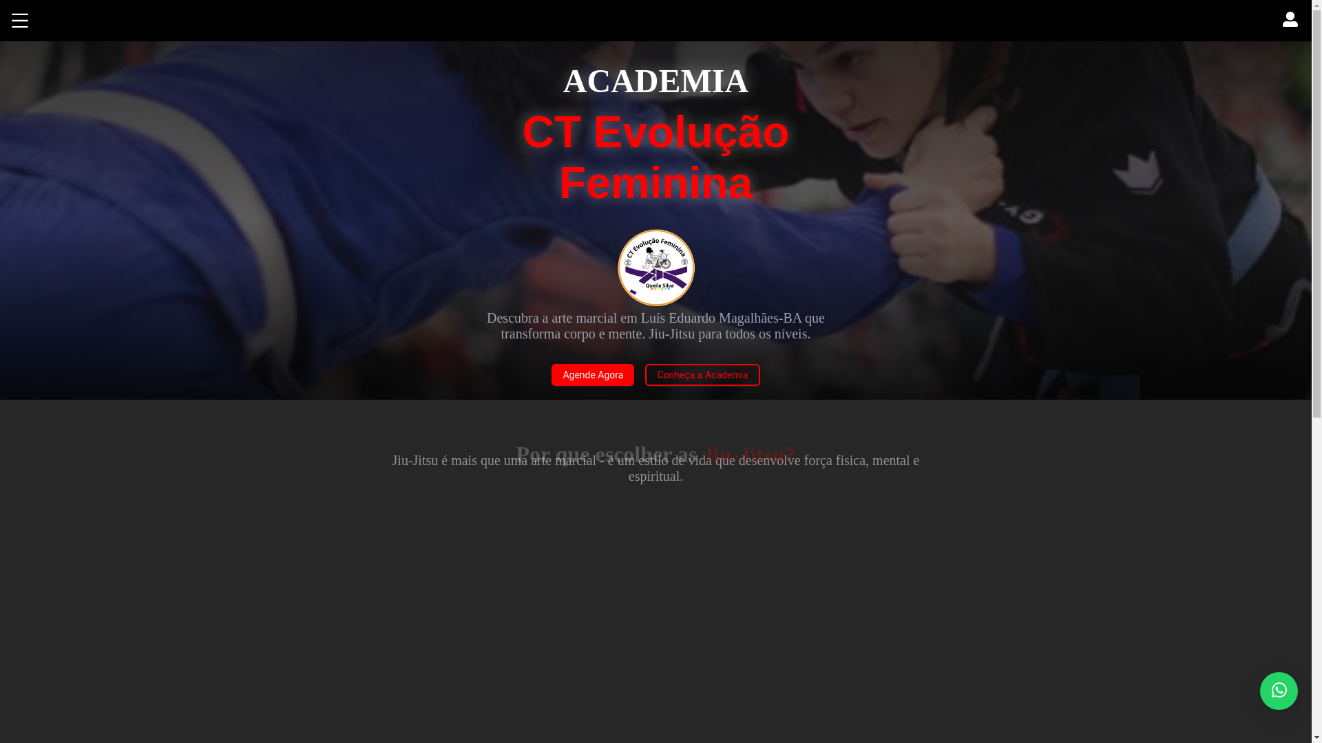 website screenshot of https://ctevolucaofeminina.com.br/