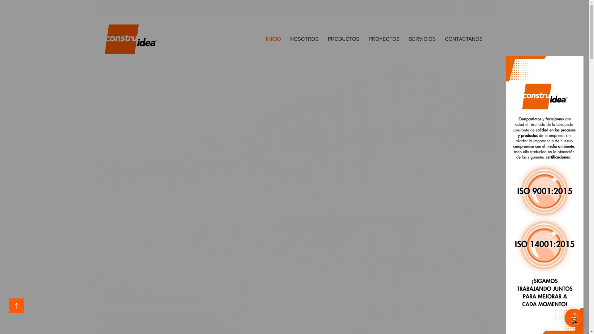website screenshot of https://www.construidea.com/