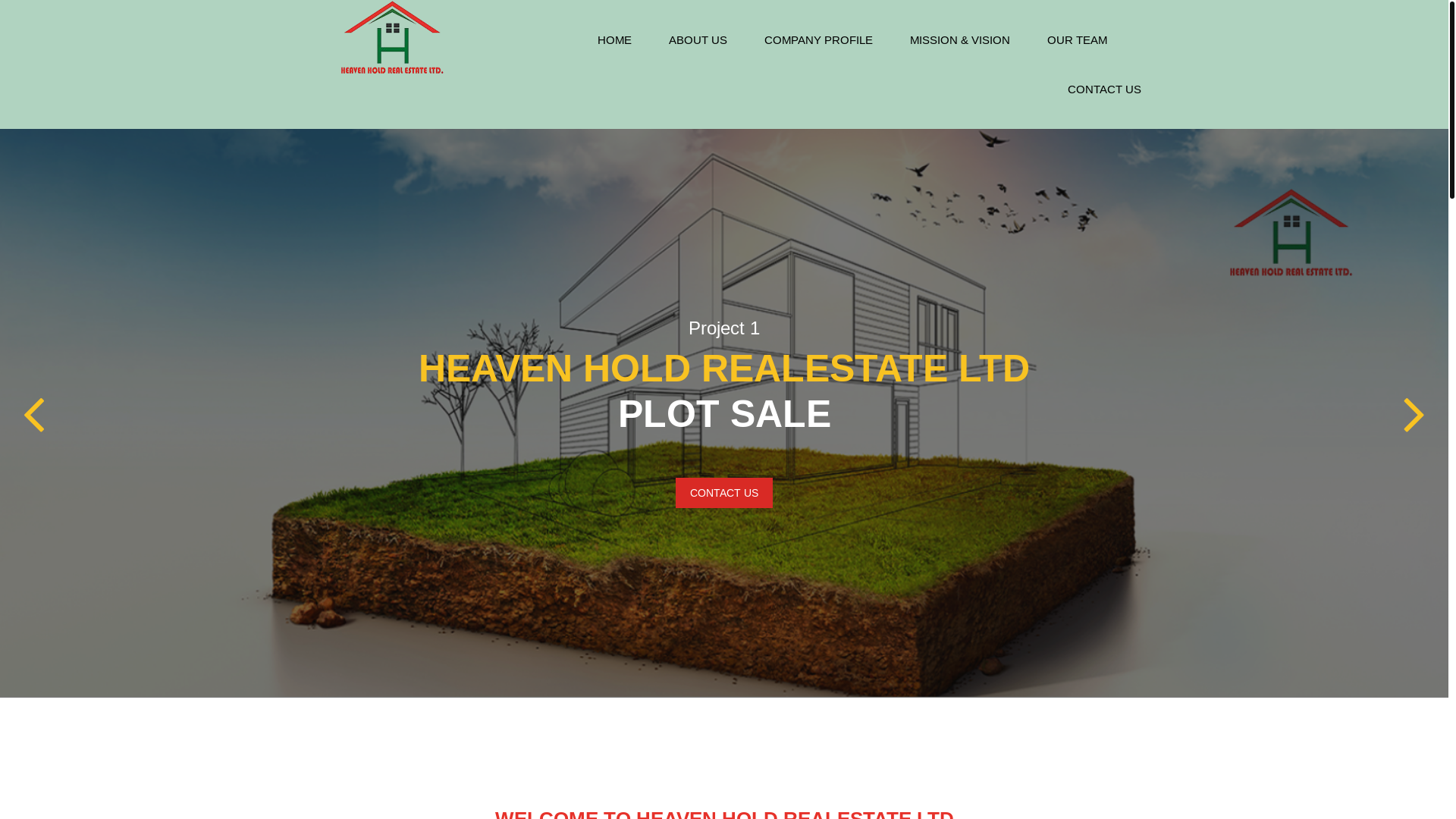 website screenshot of https://homelandrealestateltd.com/