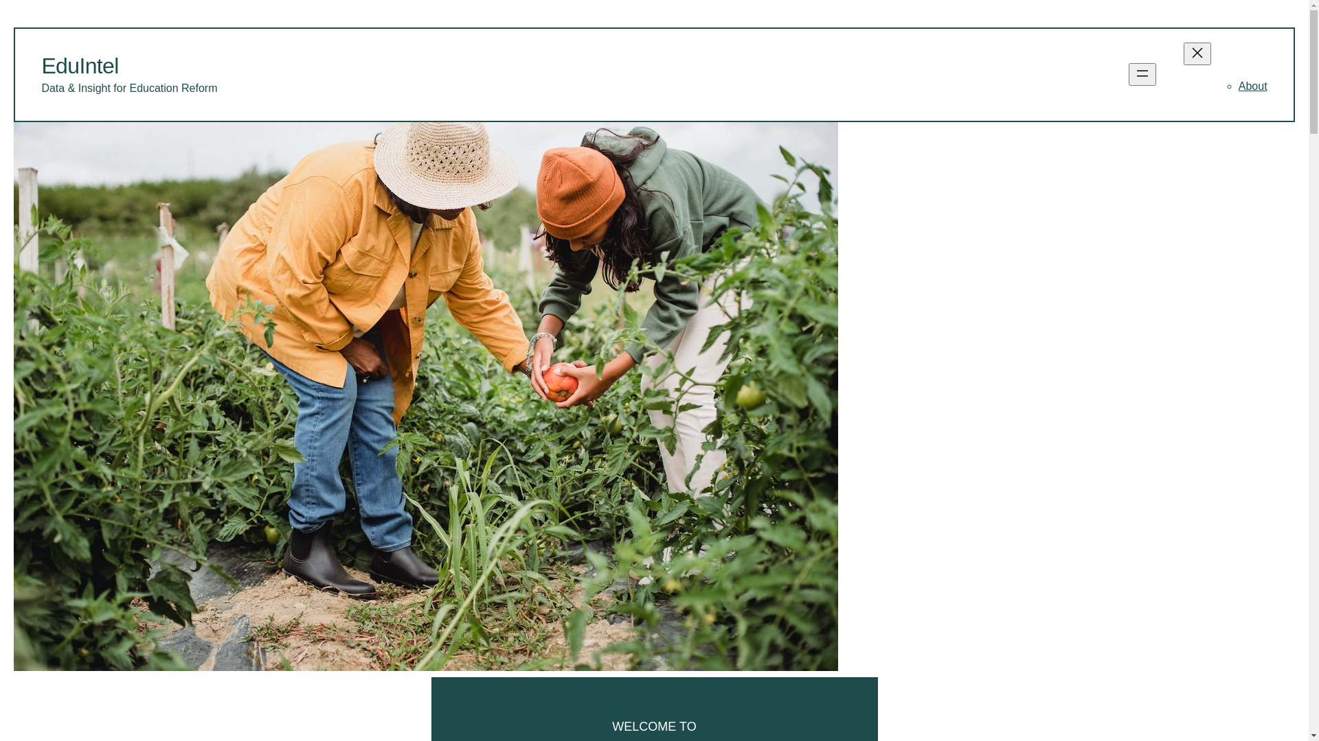 website screenshot of https://eduintelng.org/