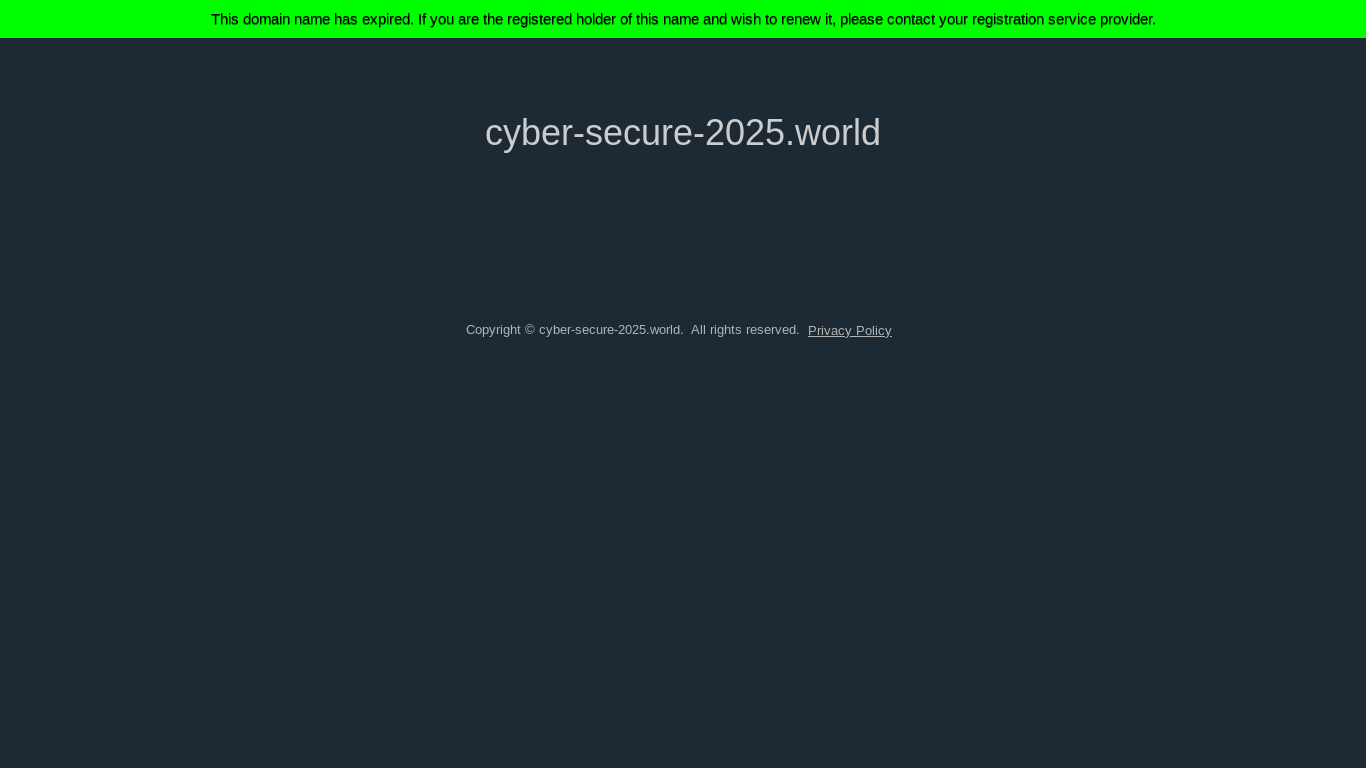 website screenshot of https://cyber-secure-2025.world/