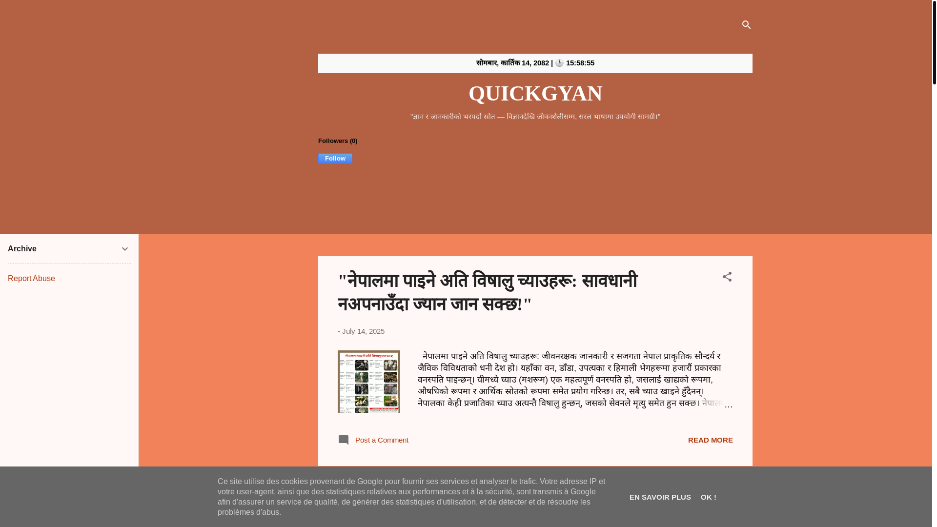 website screenshot of https://quickgyan.xyz/