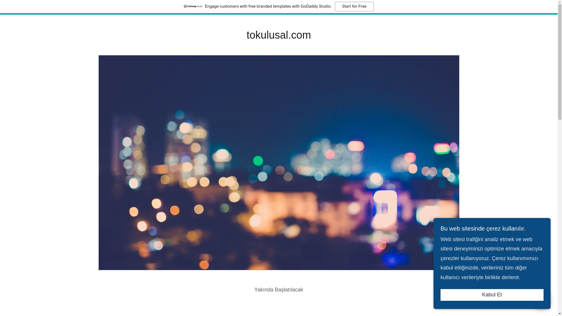 website screenshot of https://tokulusal.com/