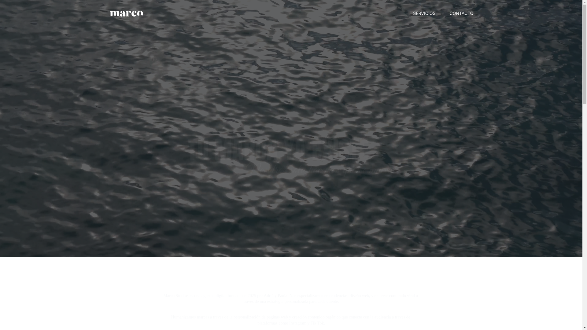 website screenshot of https://mareostudios.es/