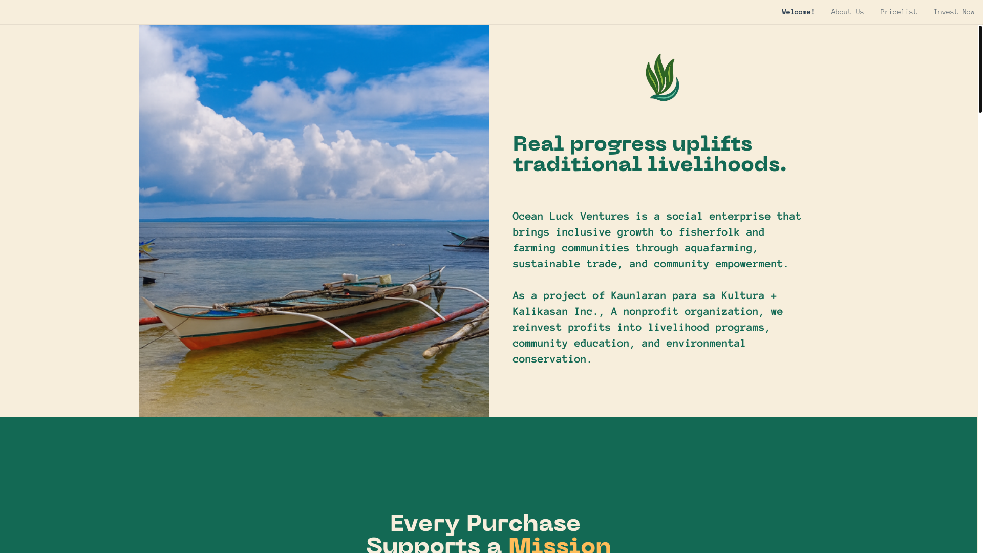 website screenshot of https://oceanluckph.com/