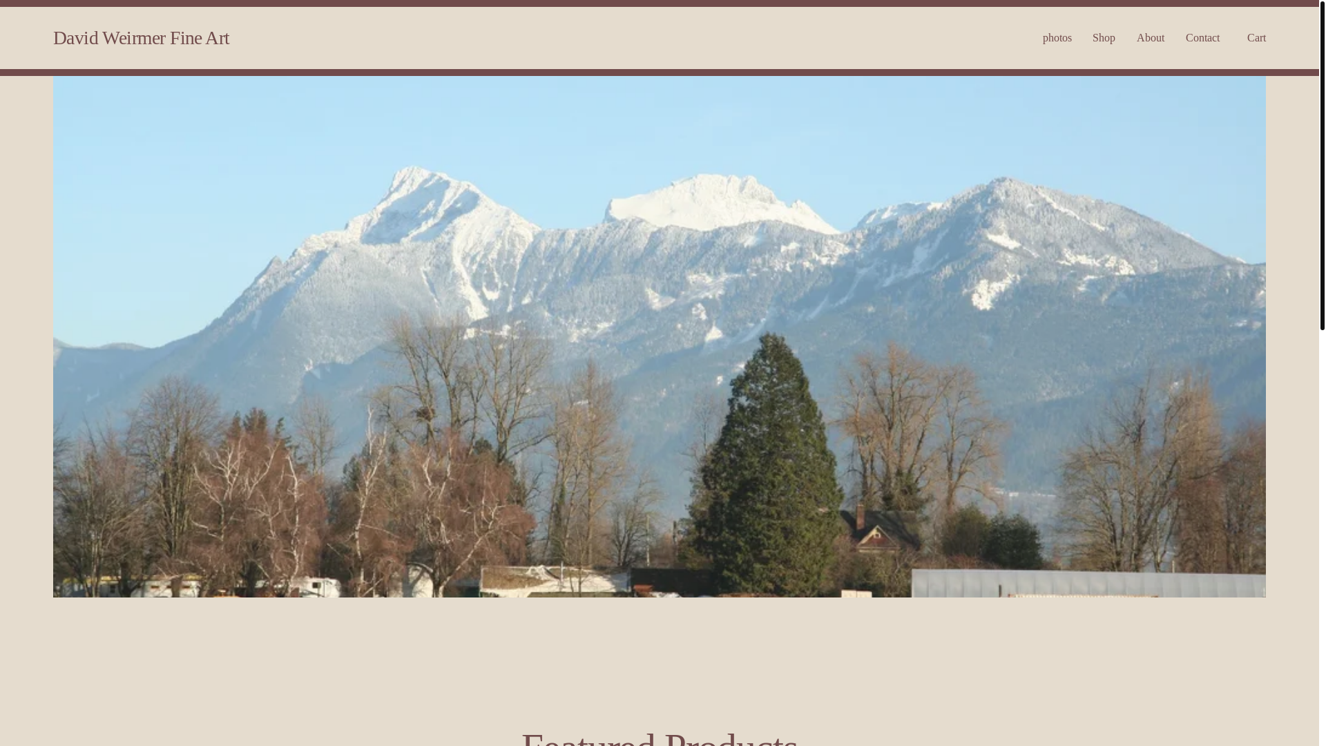 website screenshot of https://davidweirmerfineart.ca/