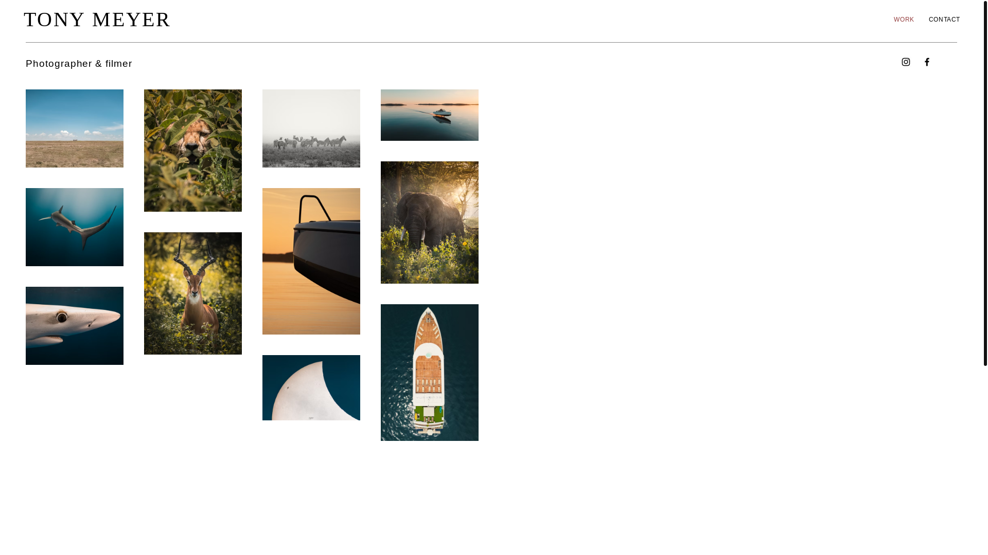 website screenshot of https://tonymeyerstudio.com/
