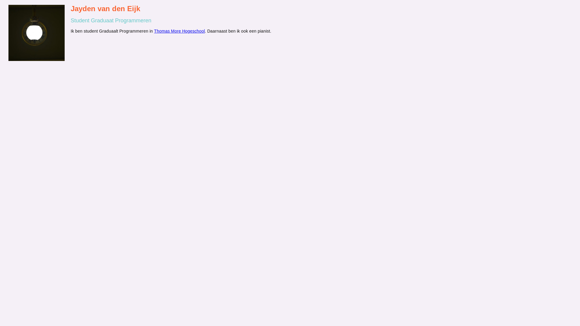 website screenshot of https://jaydenvandeijk.com/