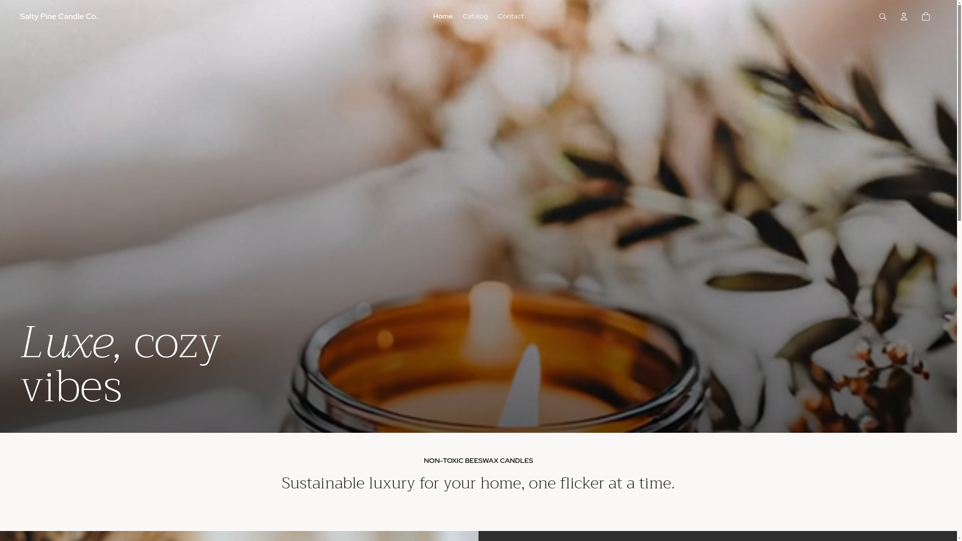 website screenshot of https://saltypinecandles.com/
