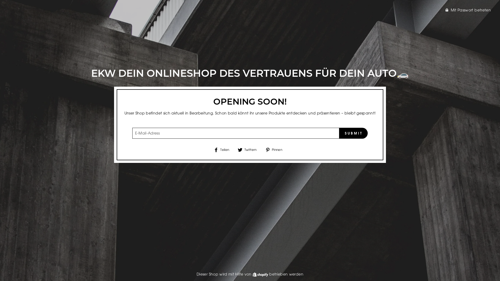 website screenshot of https://ekwshop.de/
