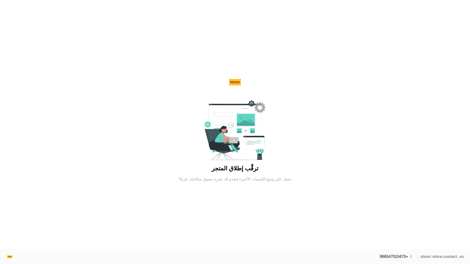 website screenshot of https://nexo-express.com/