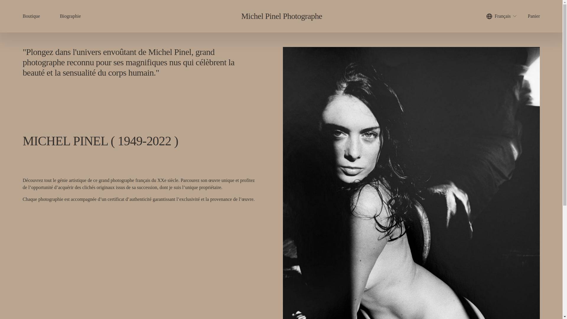 website screenshot of https://michelpinelphoto.com/