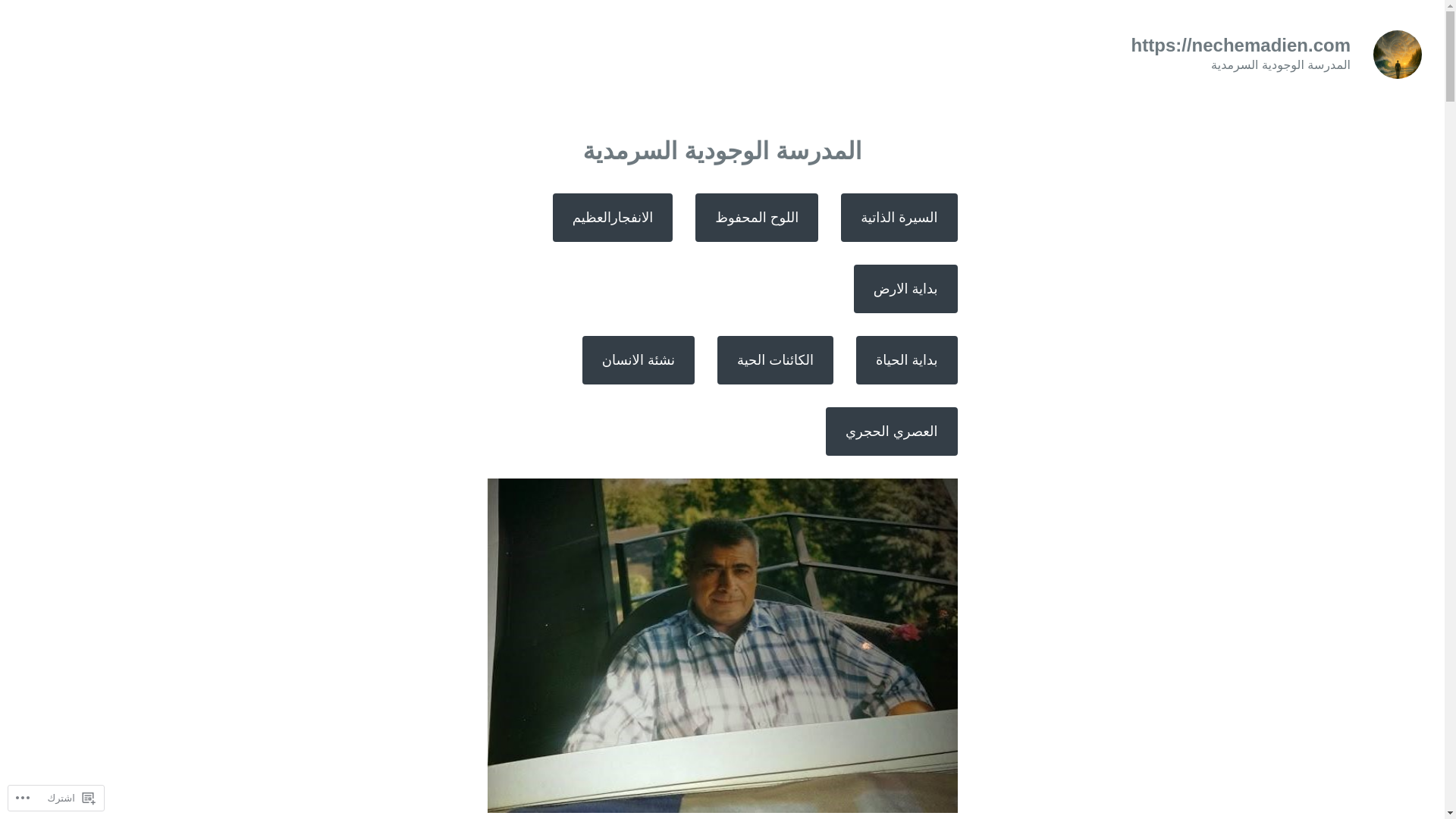 website screenshot of https://nechemadien.com/