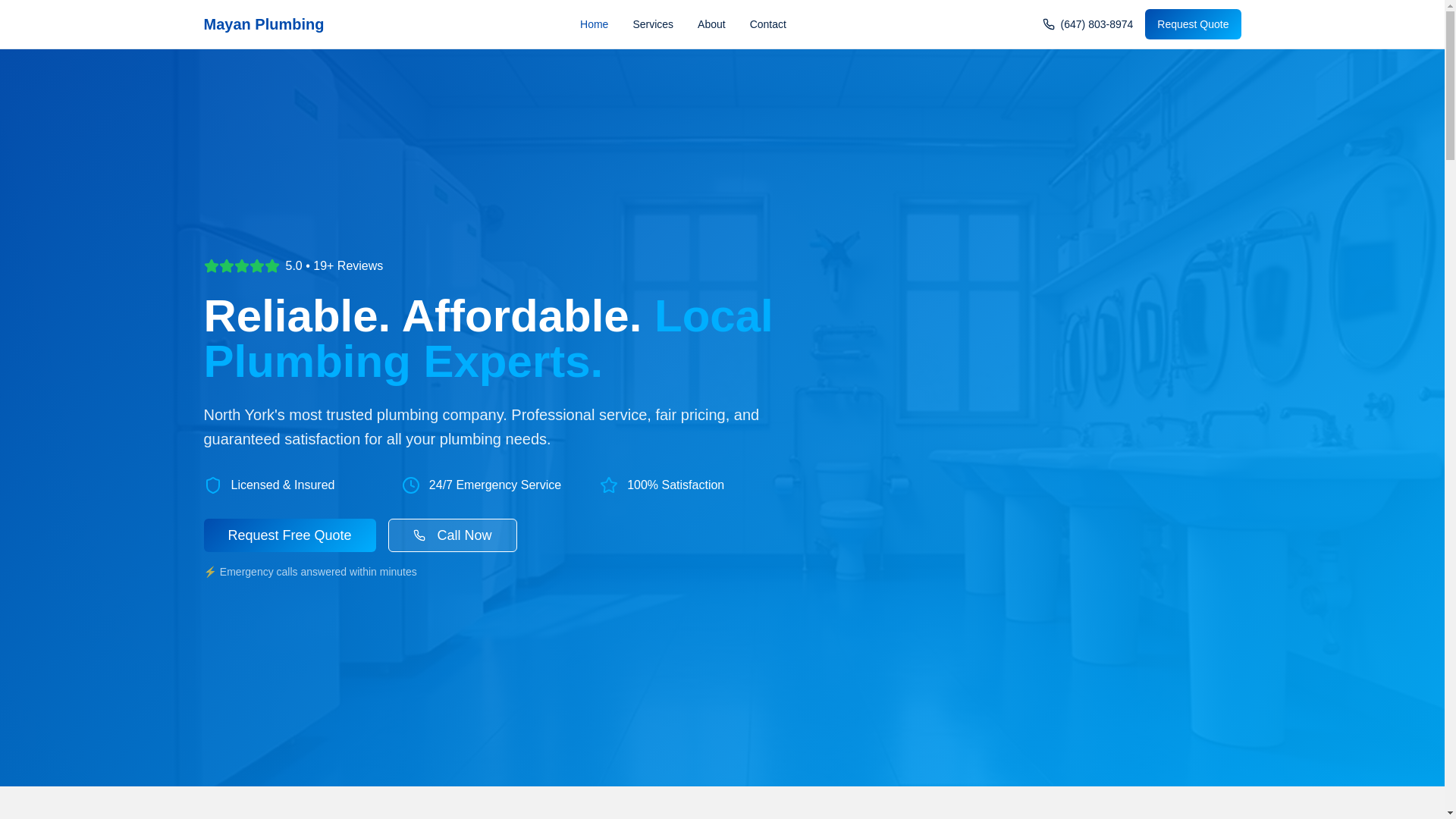 website screenshot of https://mayan-plumbing-web.pages.dev/