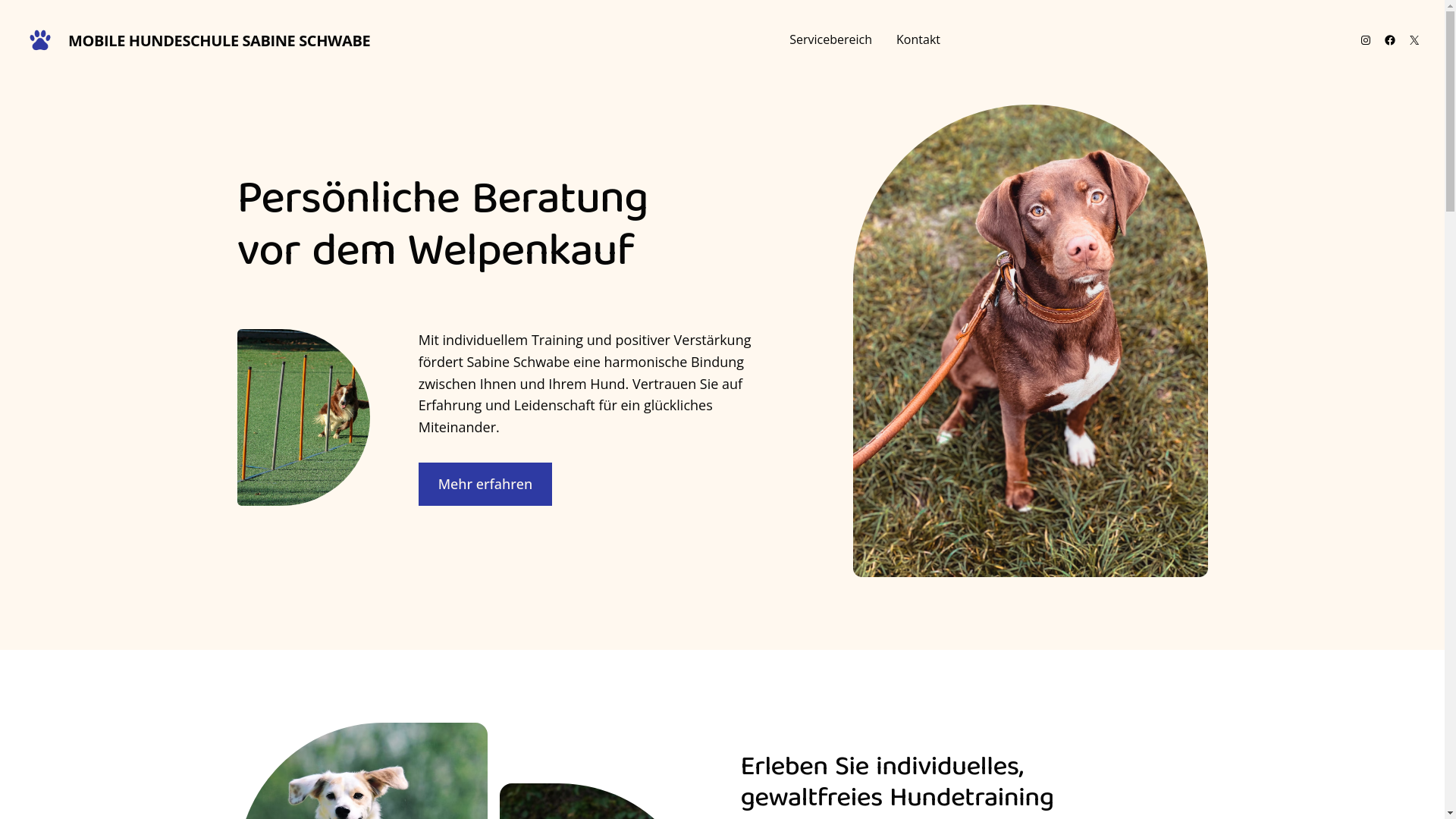 website screenshot of https://mobile-hundeschule-apolda.de/