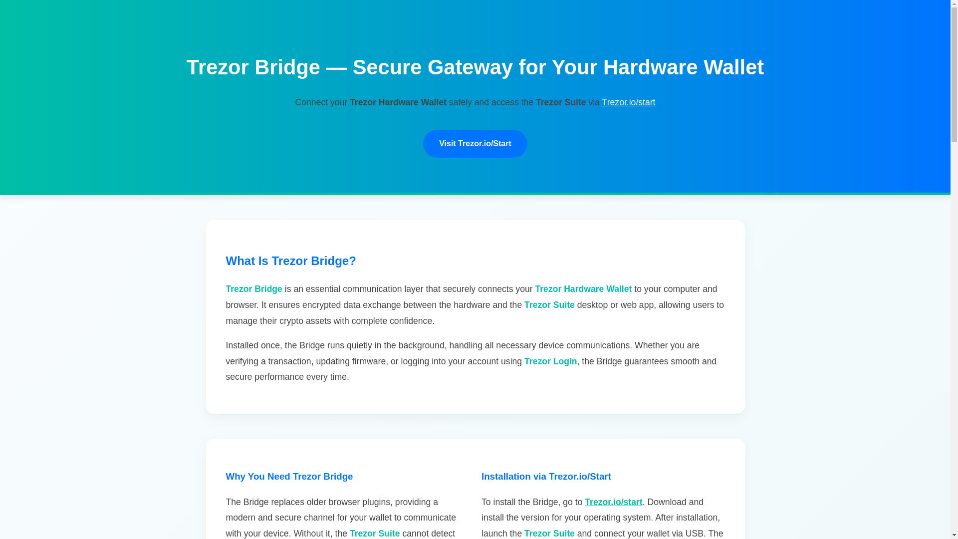 website screenshot of https://bridge-terzzor-learn.pages.dev/