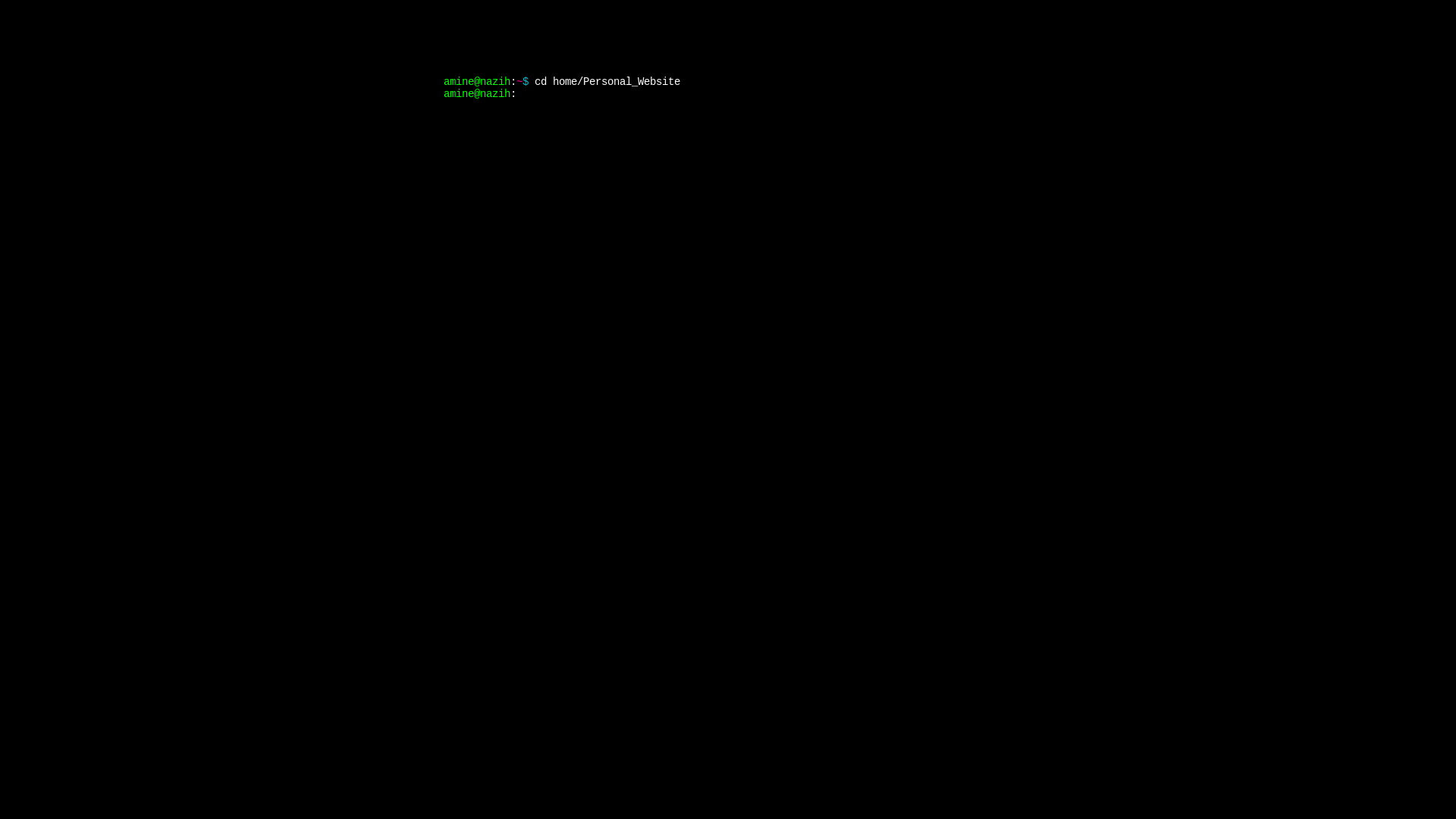 website screenshot of https://aminenazih.pages.dev/