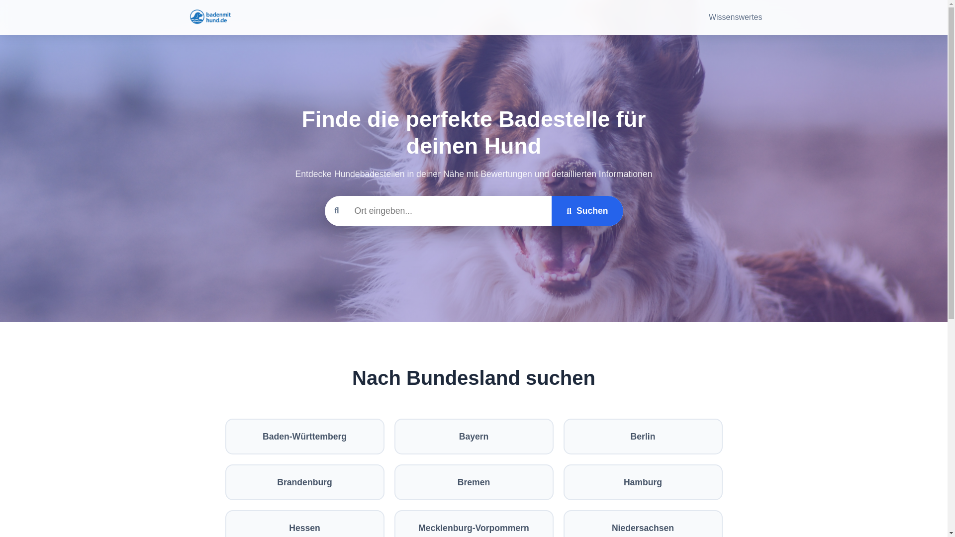 website screenshot of https://hundeproject.pages.dev/