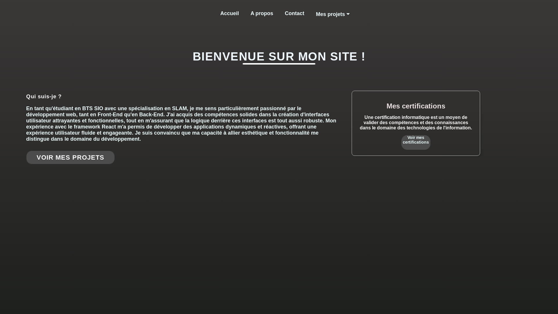 website screenshot of https://thomasthony.pages.dev/