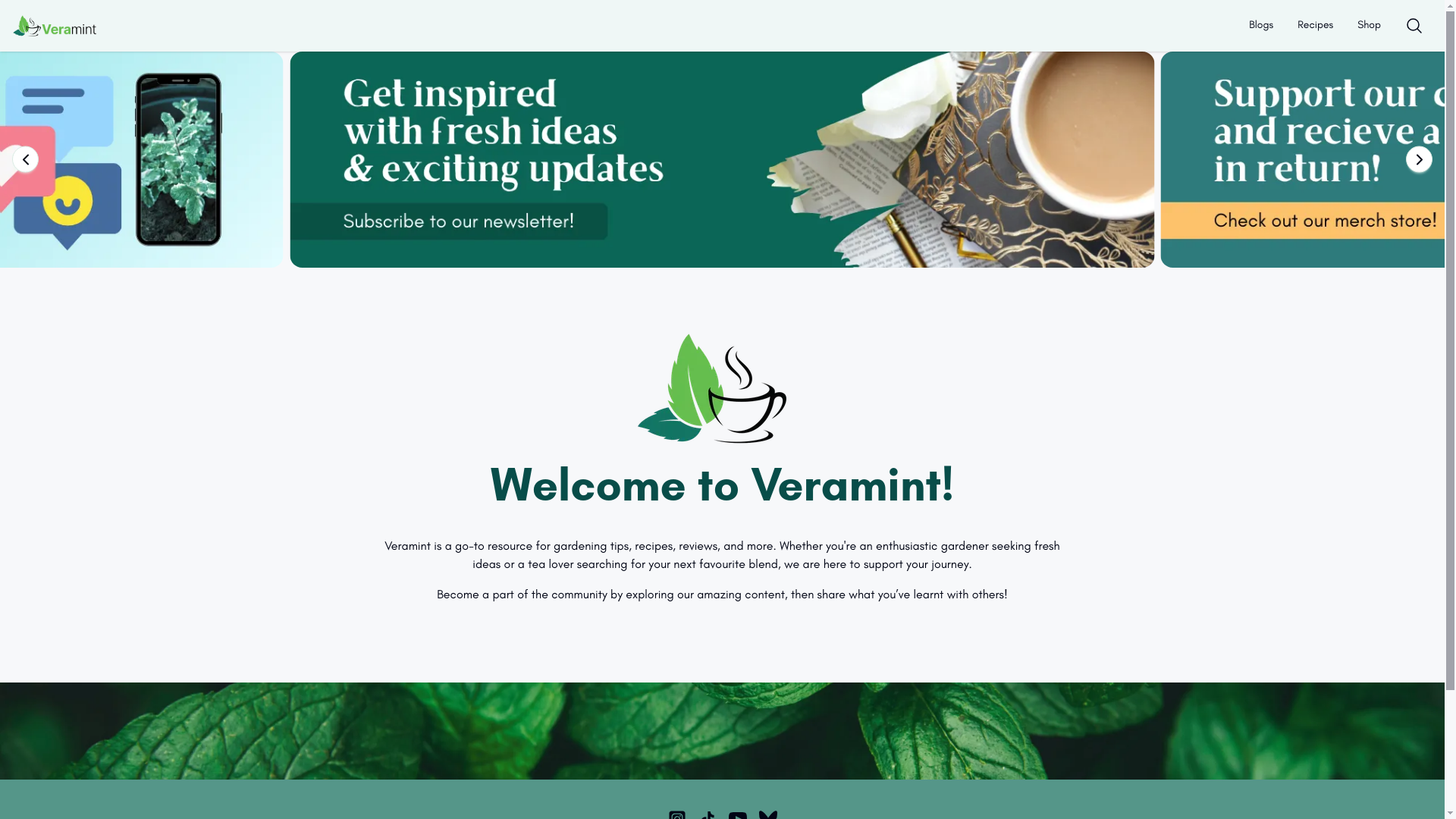 website screenshot of https://veramint.pages.dev/