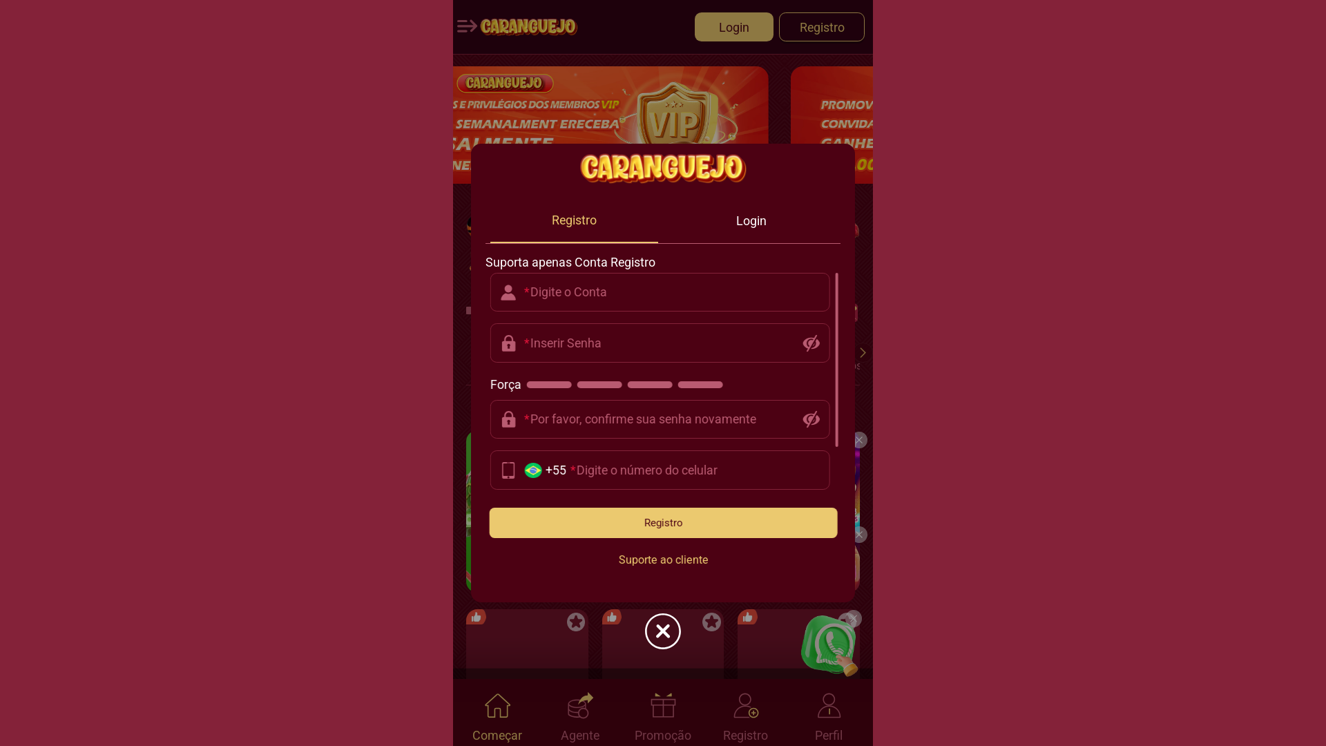 website screenshot of https://caranguejo-ice.pro/
