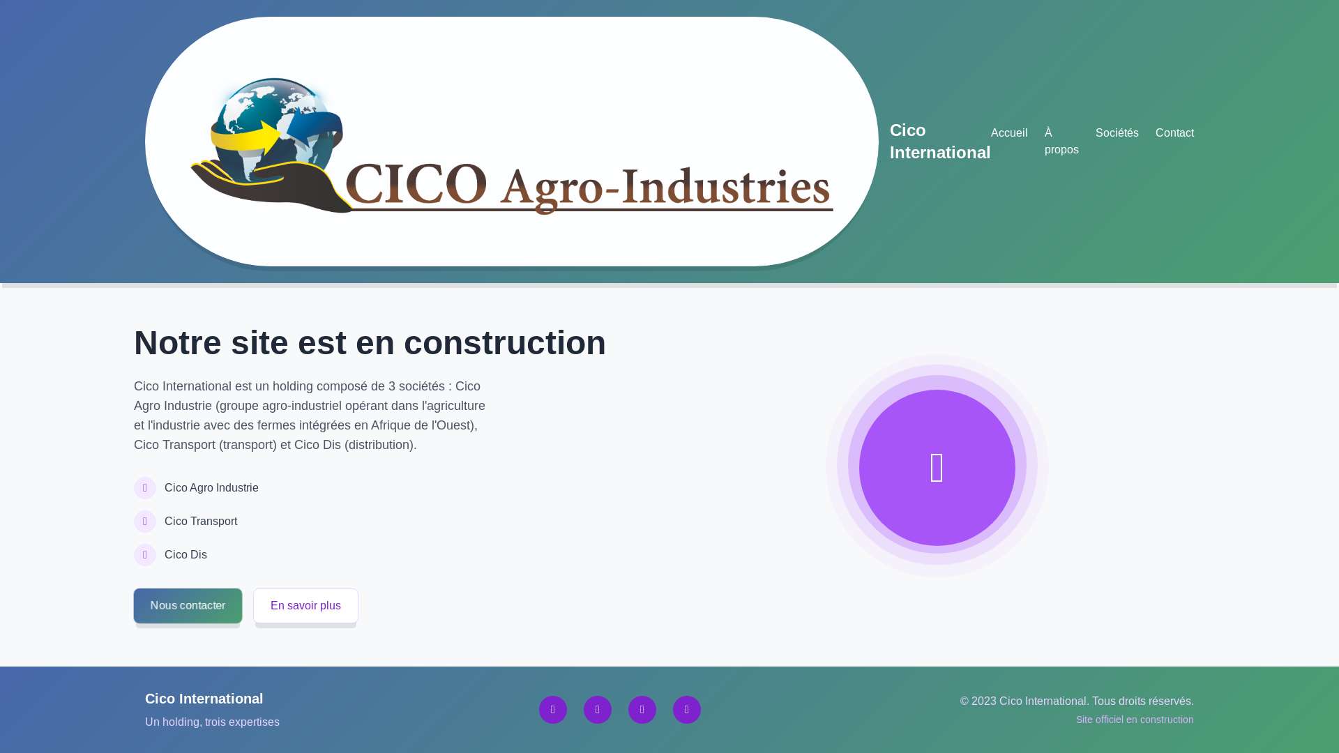 website screenshot of https://cicointernational.com/