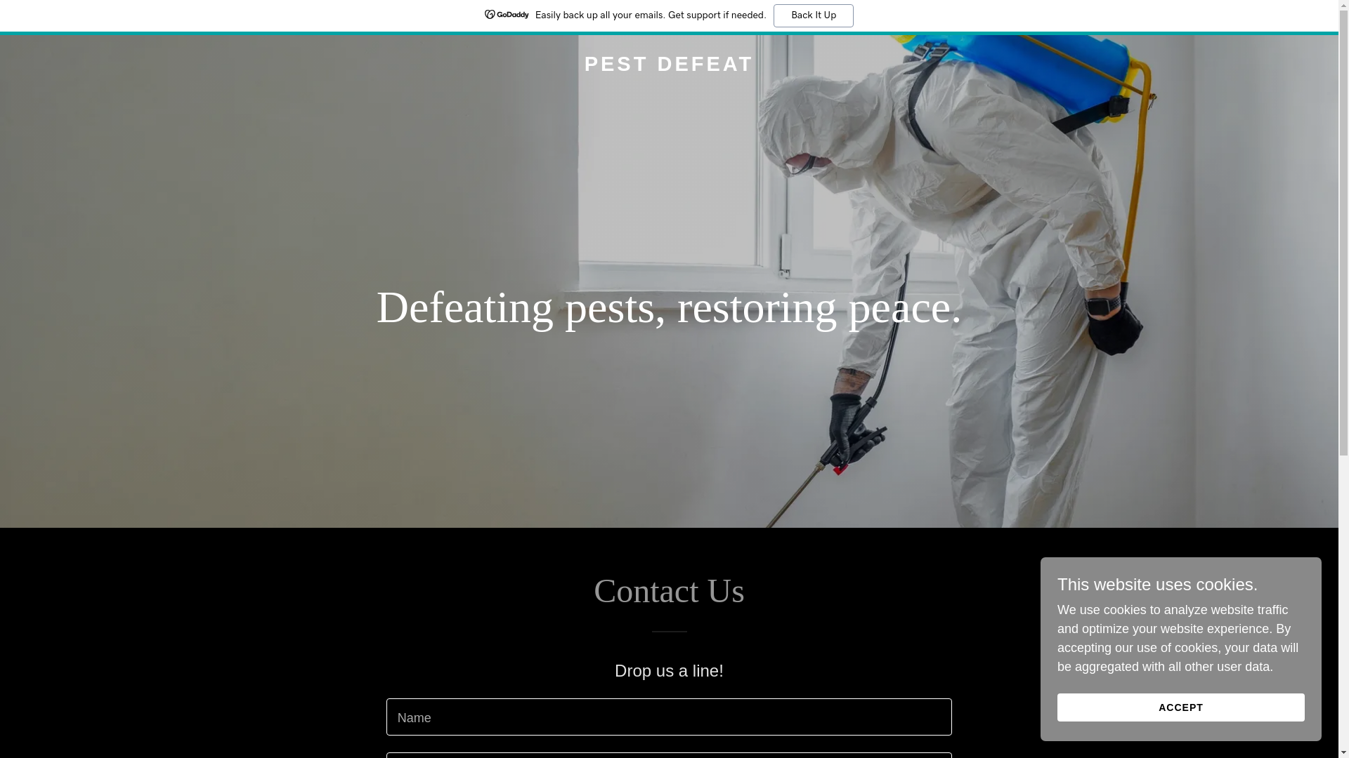 website screenshot of https://pestdefeat.com/