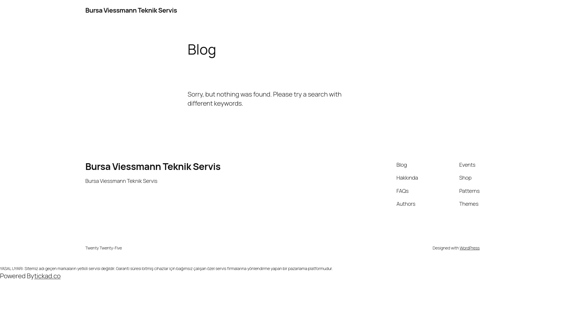 website screenshot of https://bursaviessmann.com.tr/
