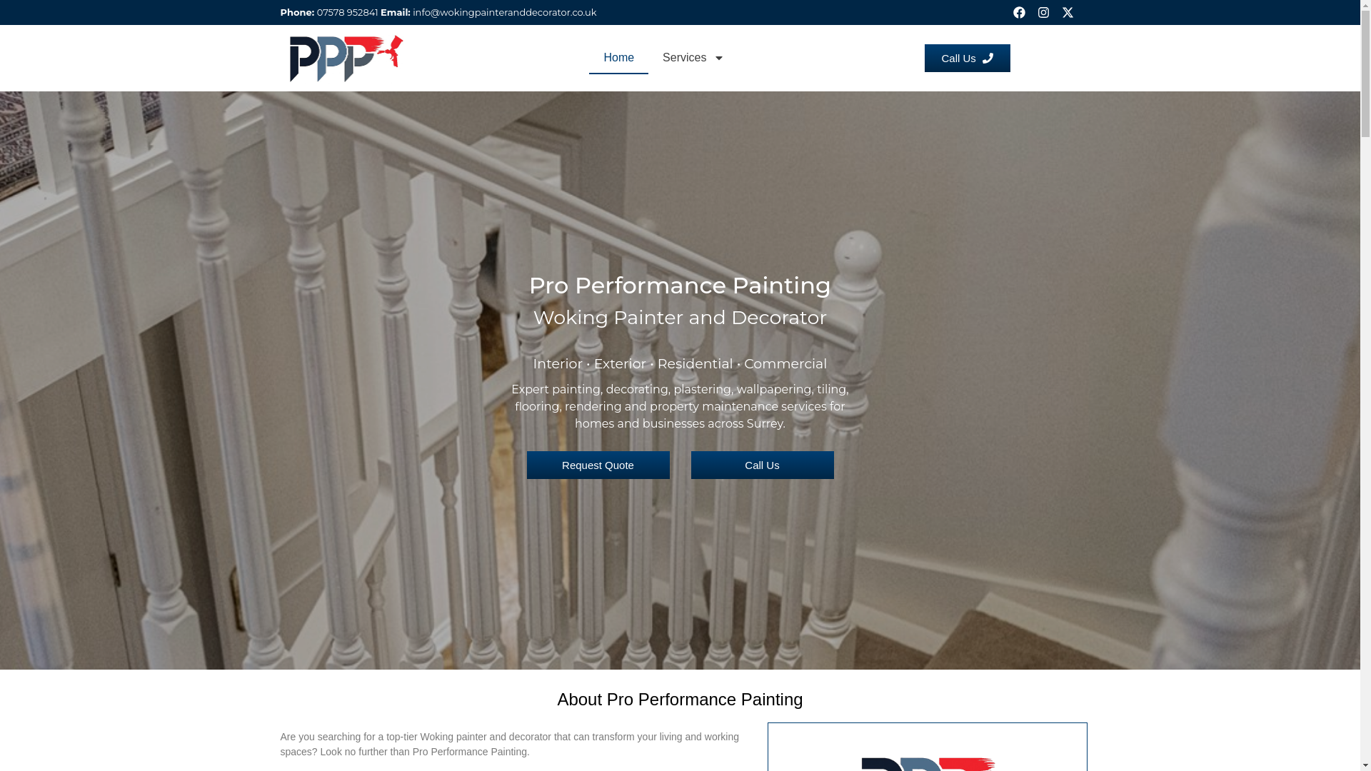 website screenshot of https://wokingpainteranddecorator.co.uk/