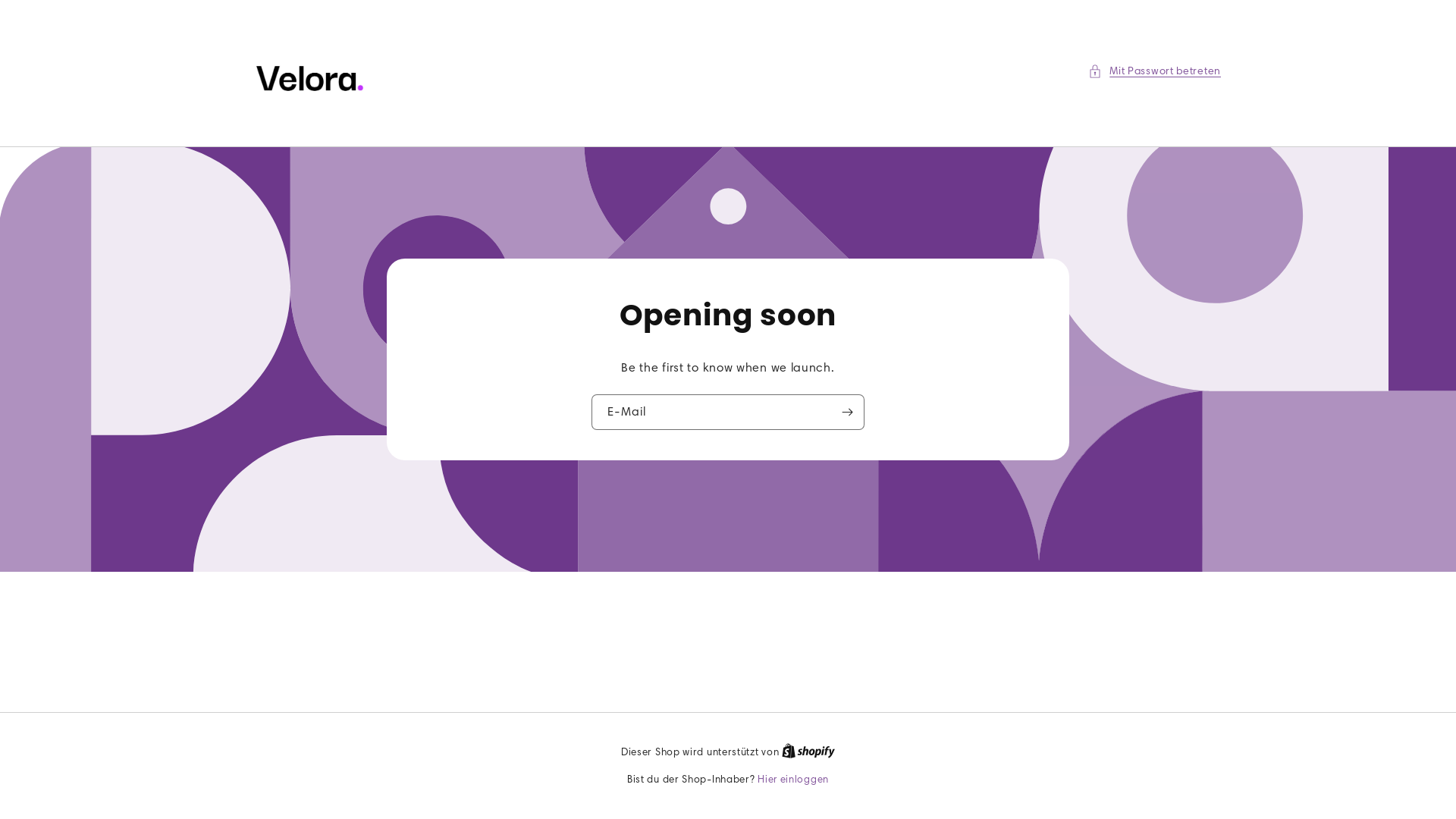 website screenshot of https://thevelora.de/