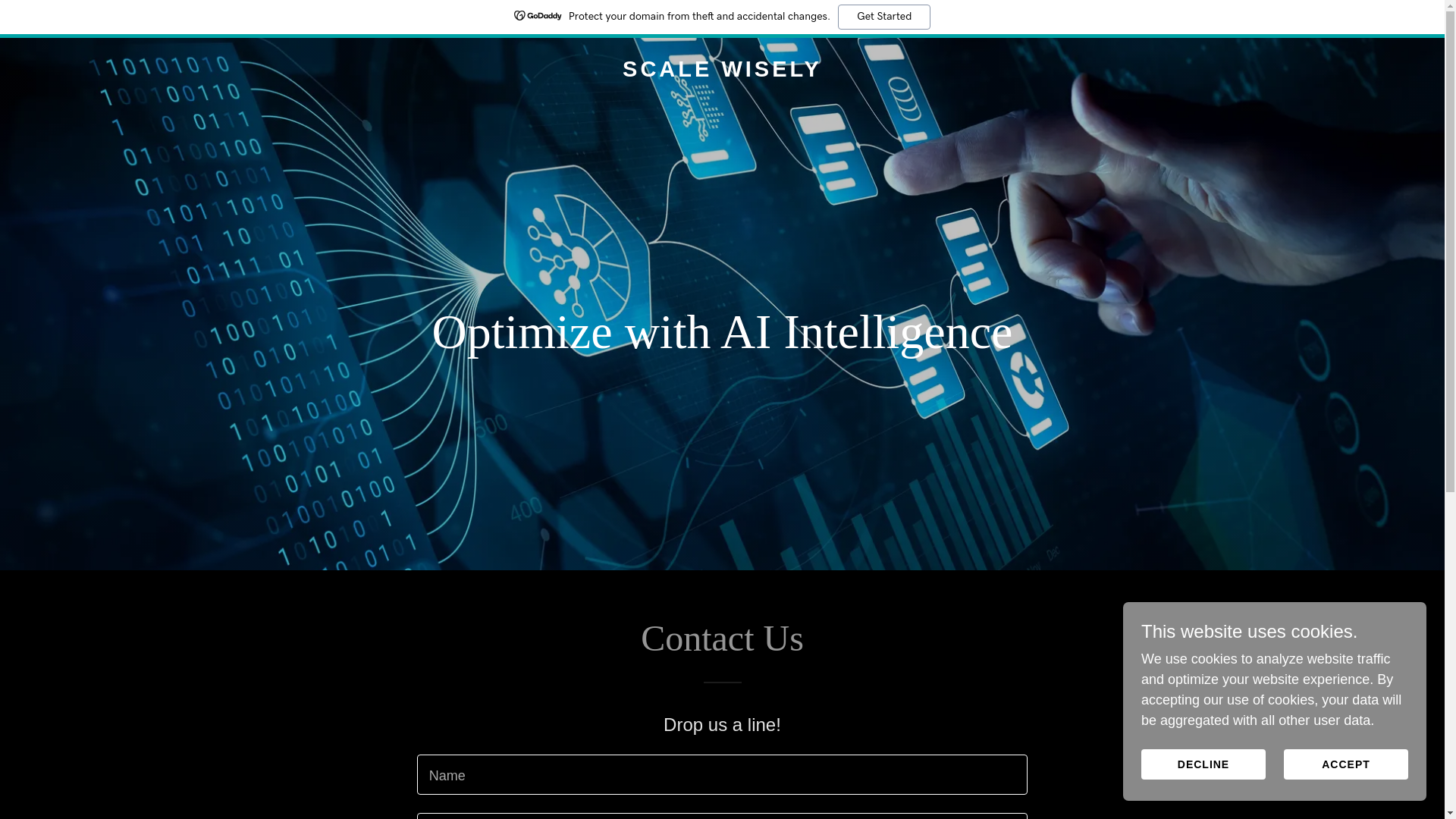 website screenshot of https://scalewisely.ai/