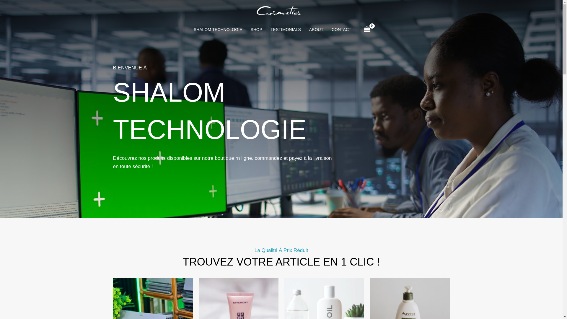 website screenshot of https://shalomtechbf.com/