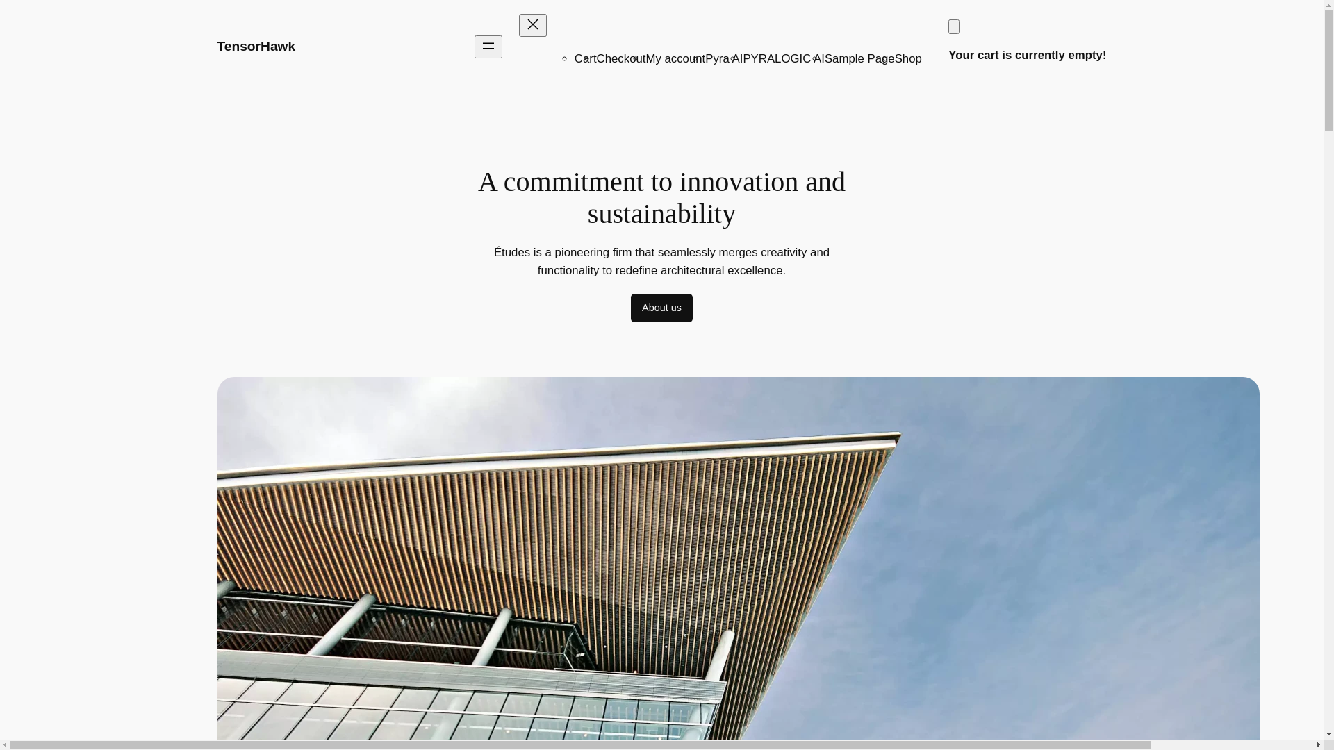 website screenshot of https://tensorhawk.com/