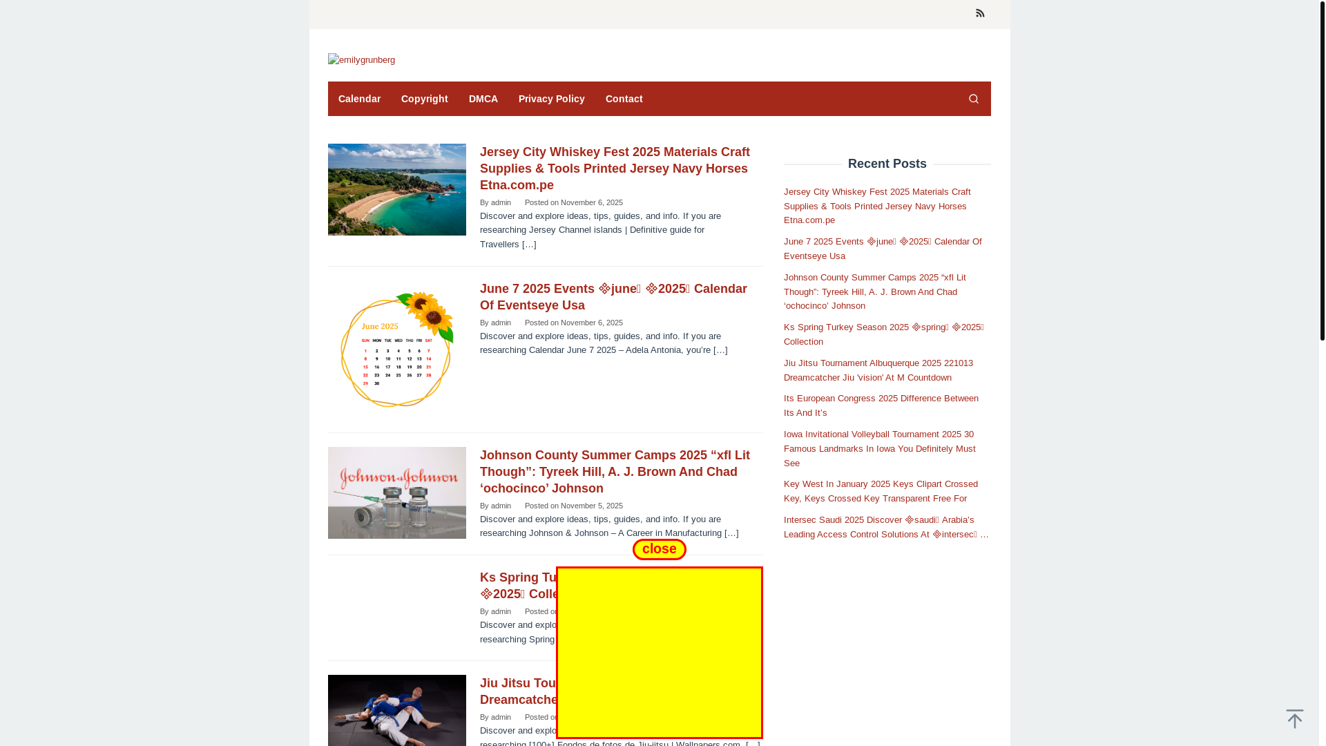 website screenshot of https://emilygrunberg.pages.dev/