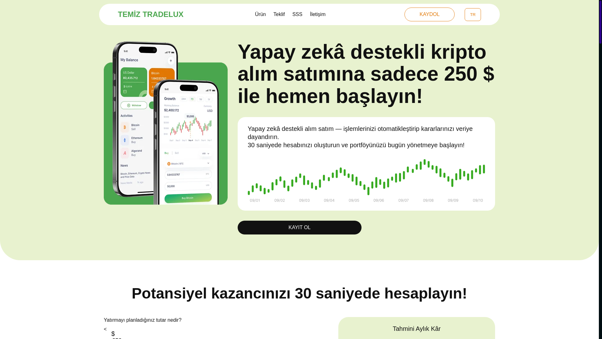 website screenshot of http://temiz-tradelux.com/