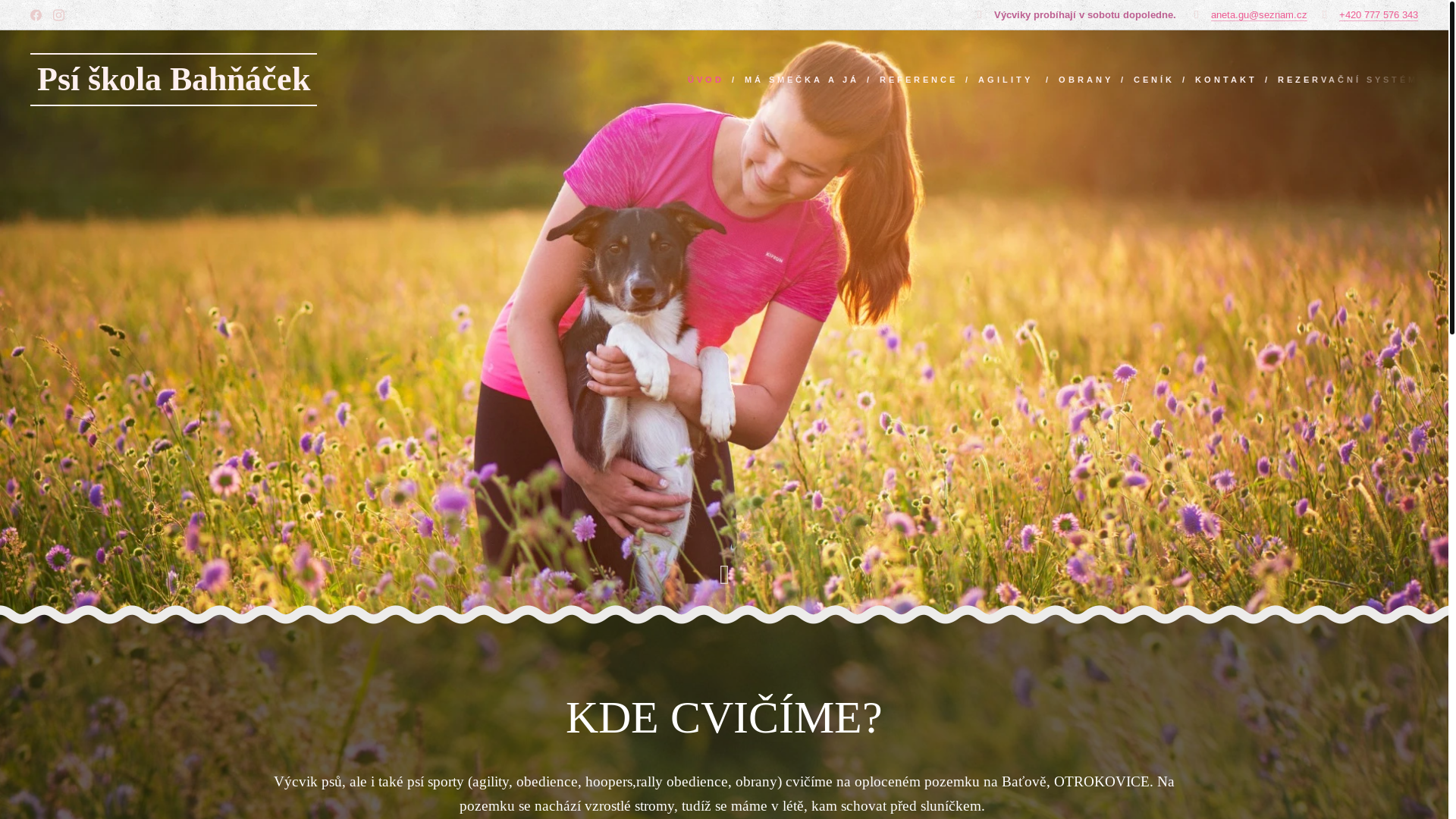 website screenshot of https://psi-skola-bahnacek.cz/