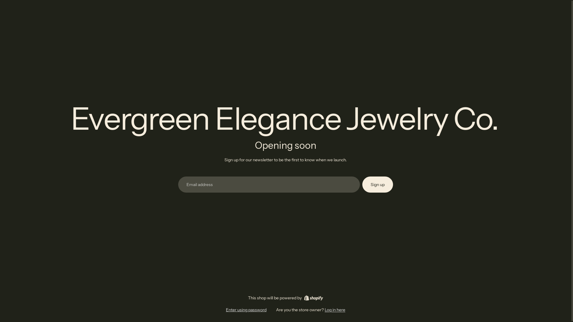 website screenshot of https://evergreenelegancejewelryco.com/