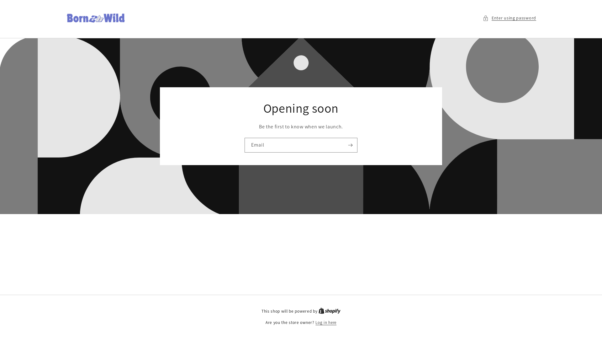 website screenshot of https://born2bwild.store/