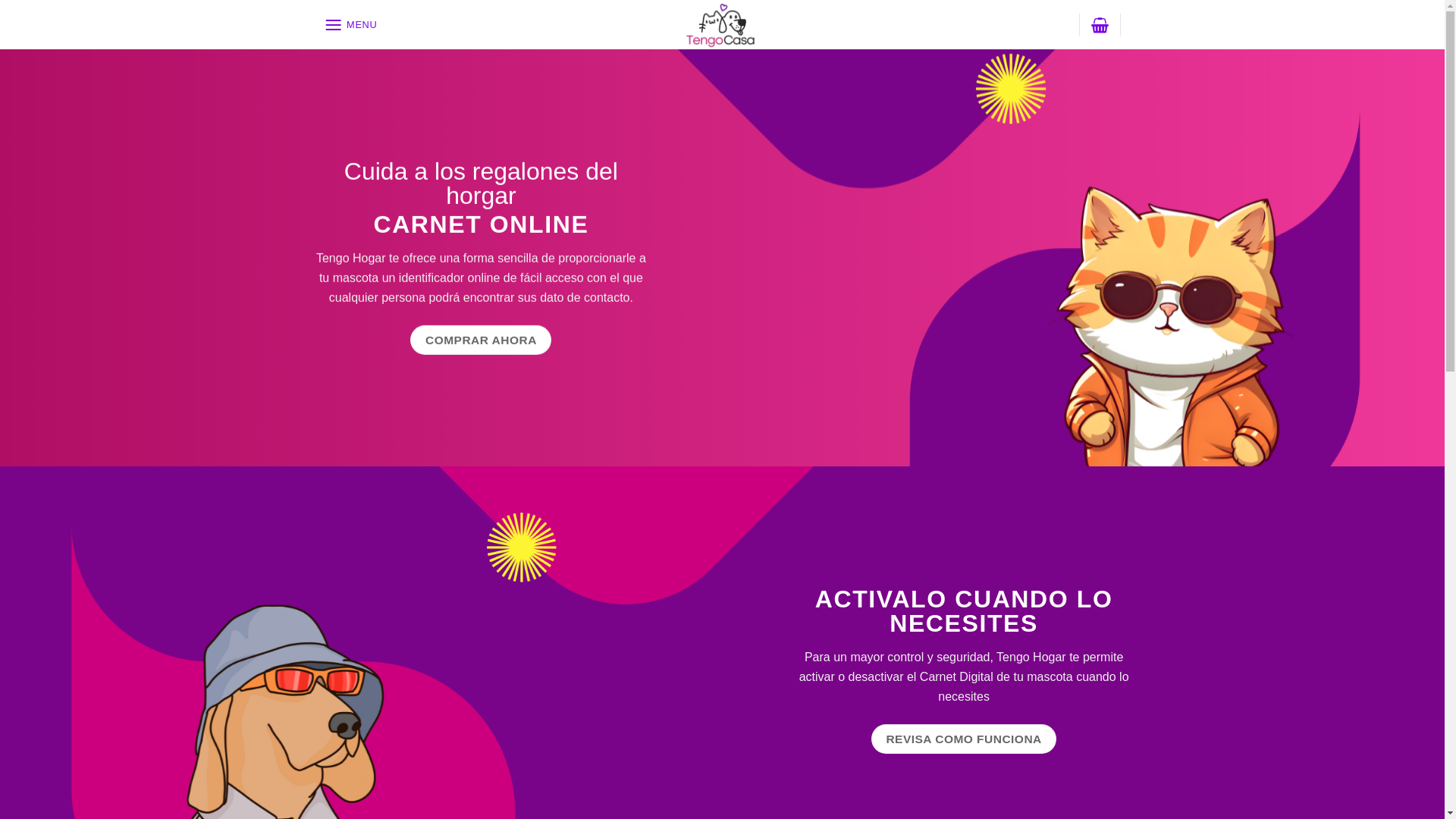website screenshot of https://tengocasa.cl/
