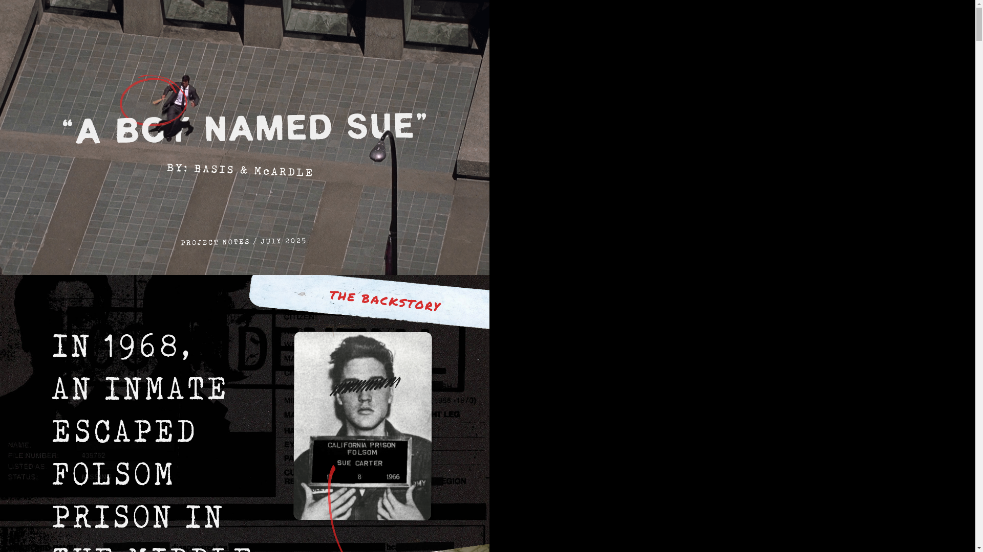 website screenshot of https://aboynamedsue.pages.dev/