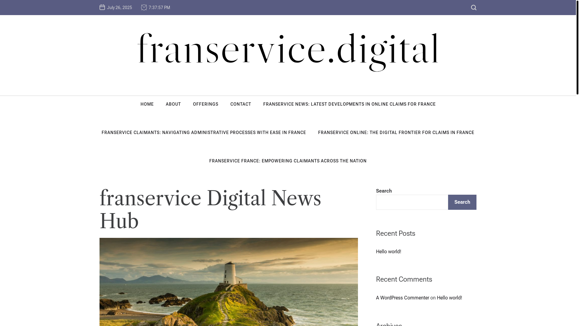 website screenshot of https://franservice.digital/