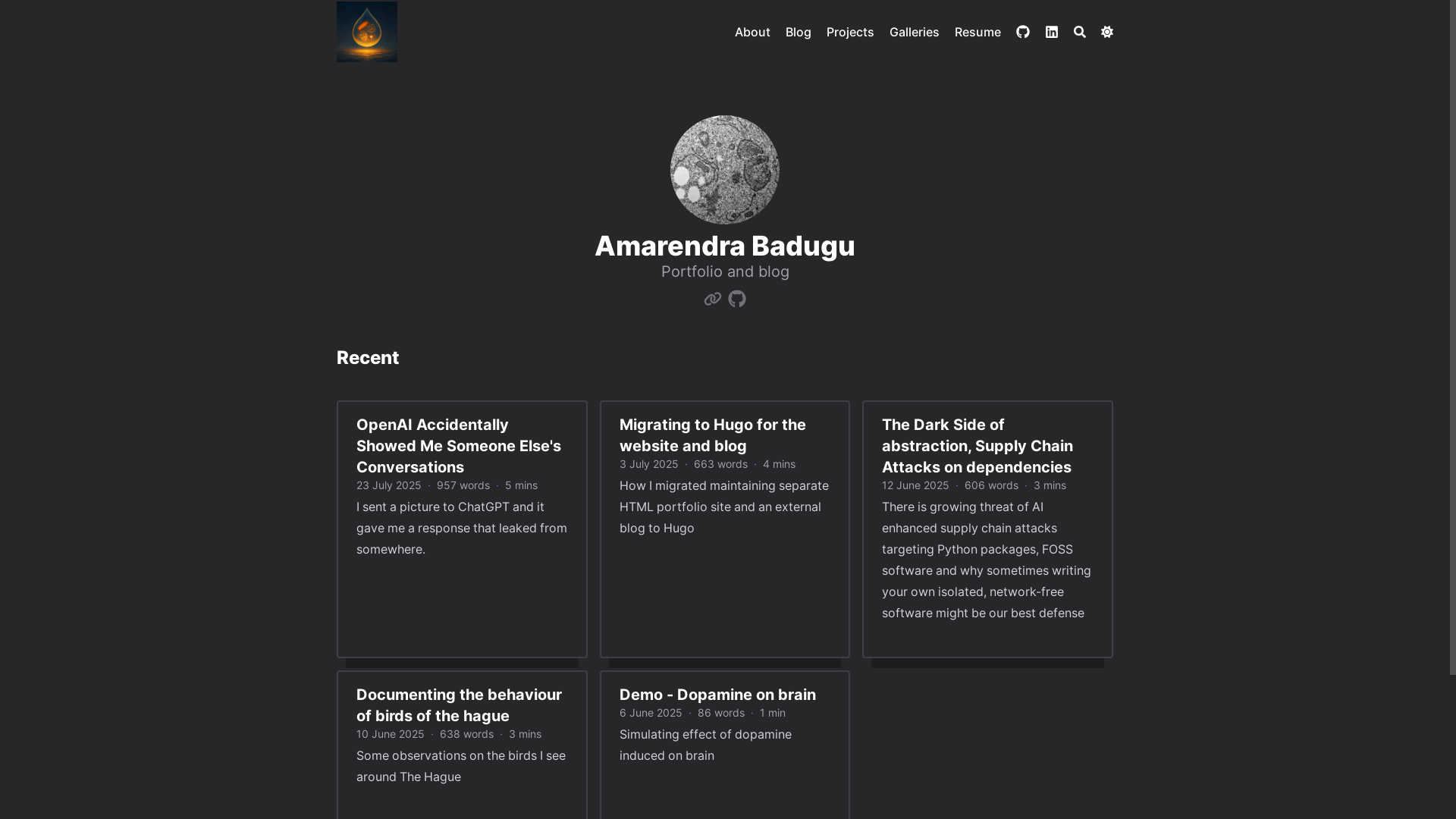 website screenshot of https://abaduguhugo2025.pages.dev/