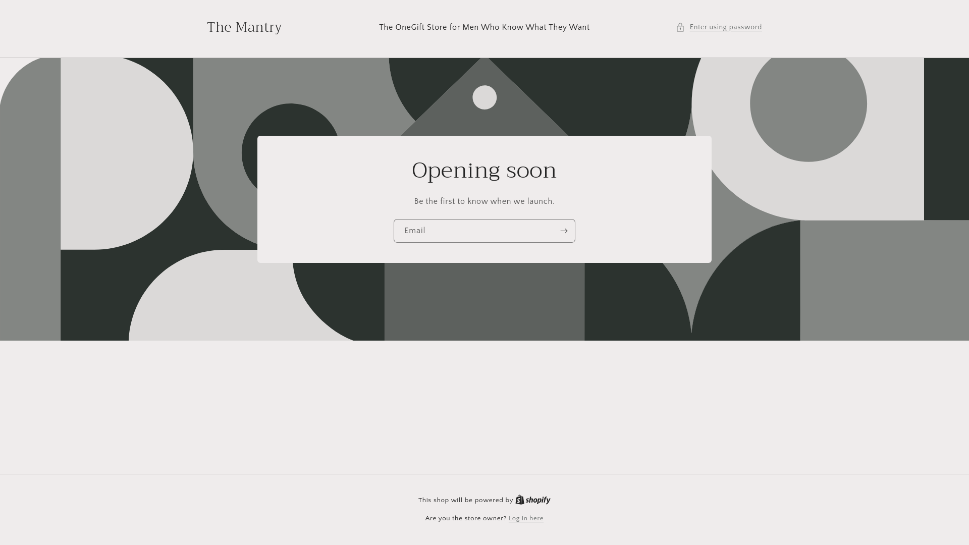 website screenshot of https://themantry.store/